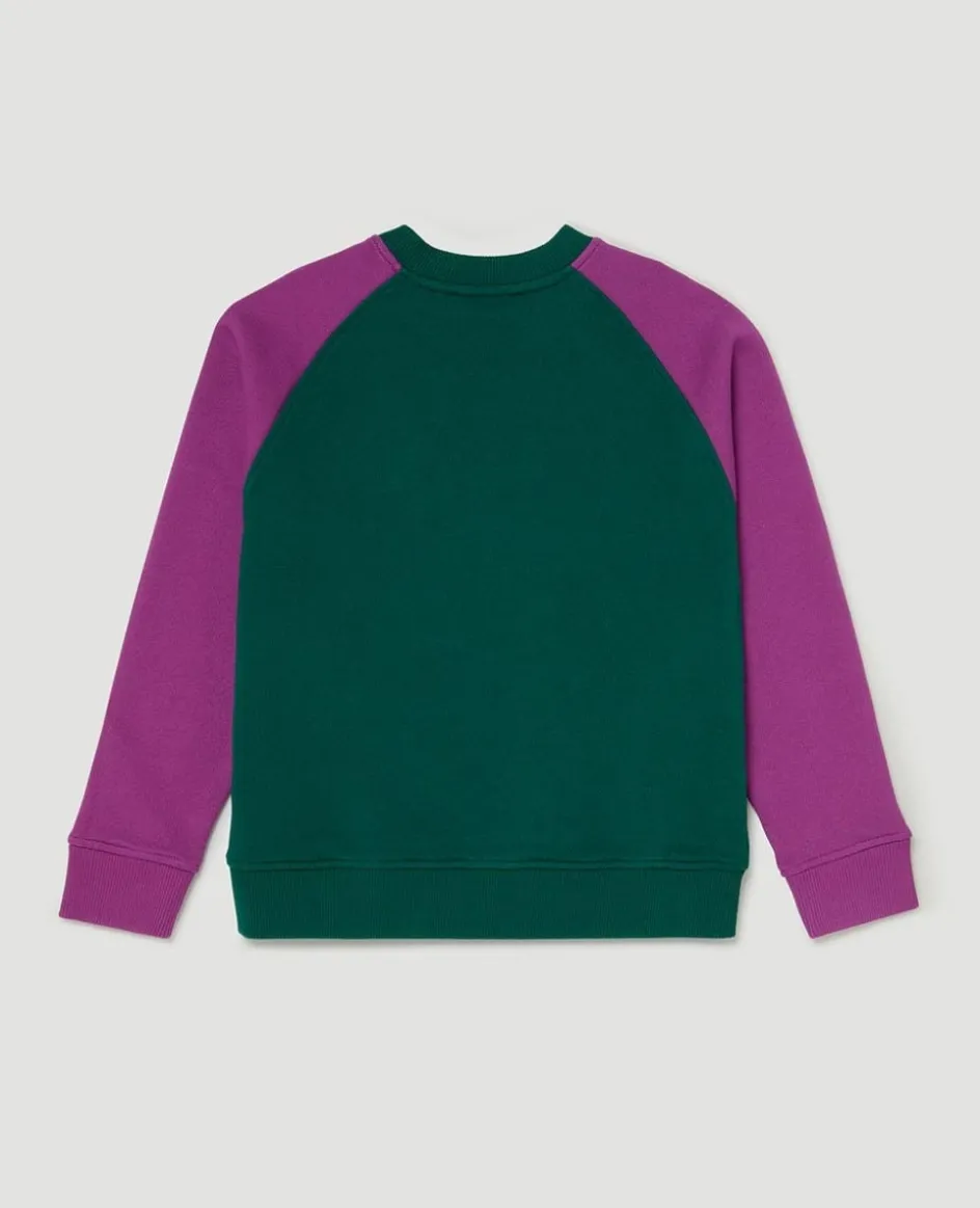 Wimbledon Kids Varsity Sweatshirt - Green & Purple-Kids Sweatshirts & Hoodies