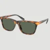 Wimbledon Polo Ralph Lauren PH4205U Shiny Red Havana- Sunglasses
